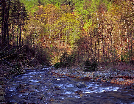 Moorman's River in Spring, Albemarle County, VA